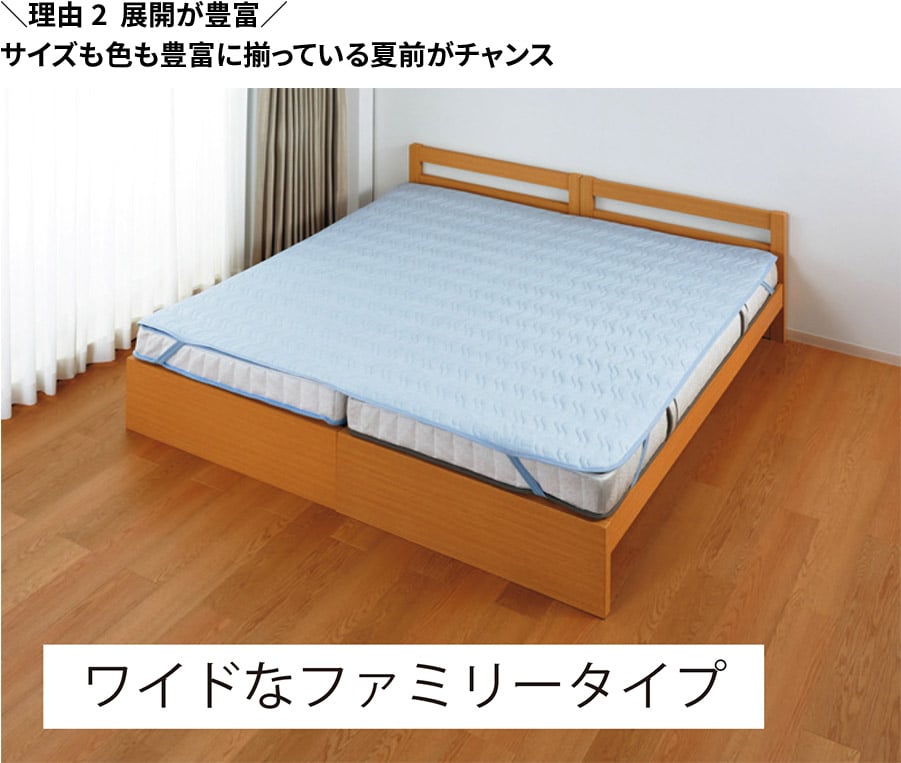 理由2  展開が豊富 サイズも色も豊富に揃っている夏前がチャンス