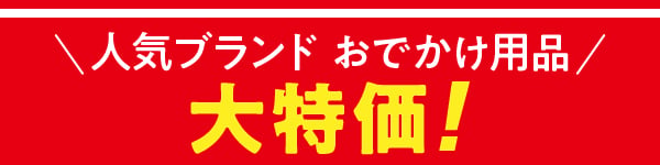 おでかけアイテム