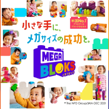 mega blocks