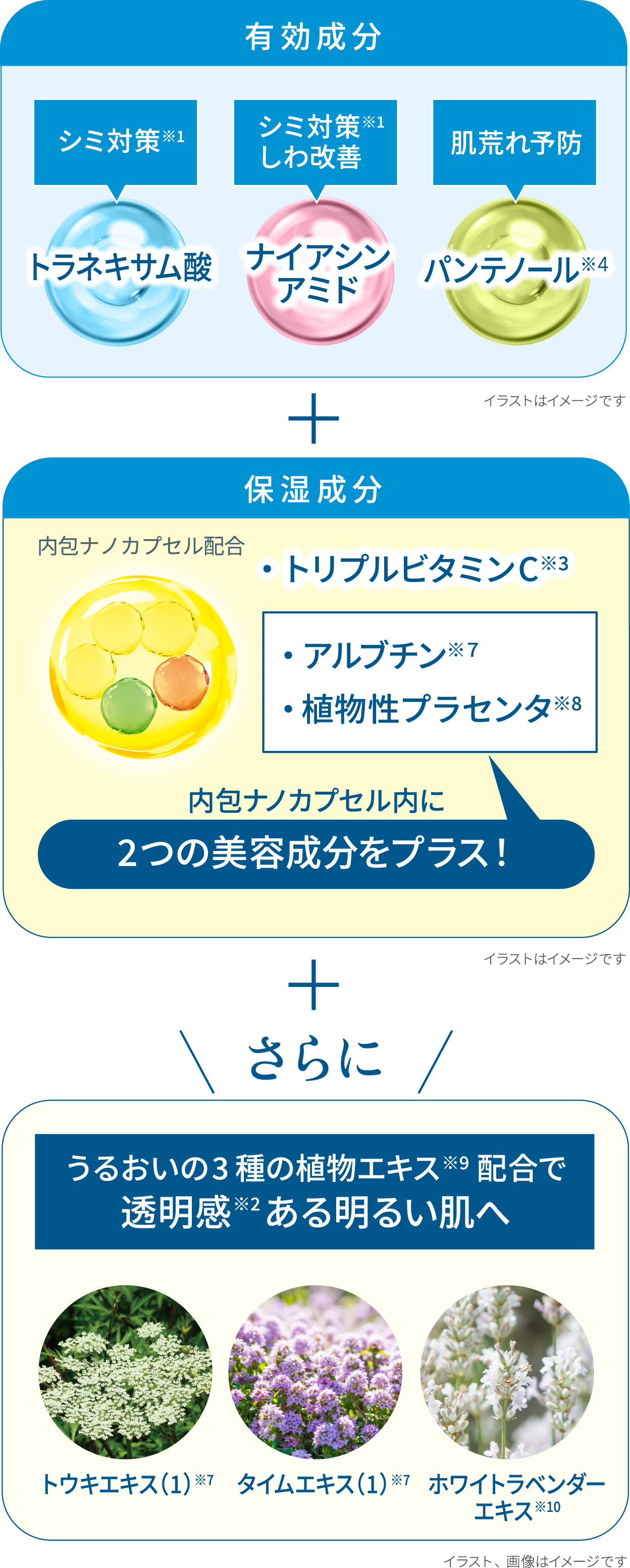 有効成分【シミ対策※1：トラネキサム酸 シミ対策※1しわ改善：ナイアシンアミド 肌荒れ予防：パンテノール※4】＋保湿成分【内包ナノカプセル配合 ・トリプルビタミンC※3 ・アルブチン※７ ・植物性プラセンタ※8 内包ナノカプセル内に2つの美容成分をプラス！】＋さらに うるおいの3種の植物エキス※9配合で透明感※2ある明るい肌へ【トウキエキス（1）※7 タイムエキス（1）※7 ホワイトラベンダーエキス※10】 イラスト、画像はイメージです