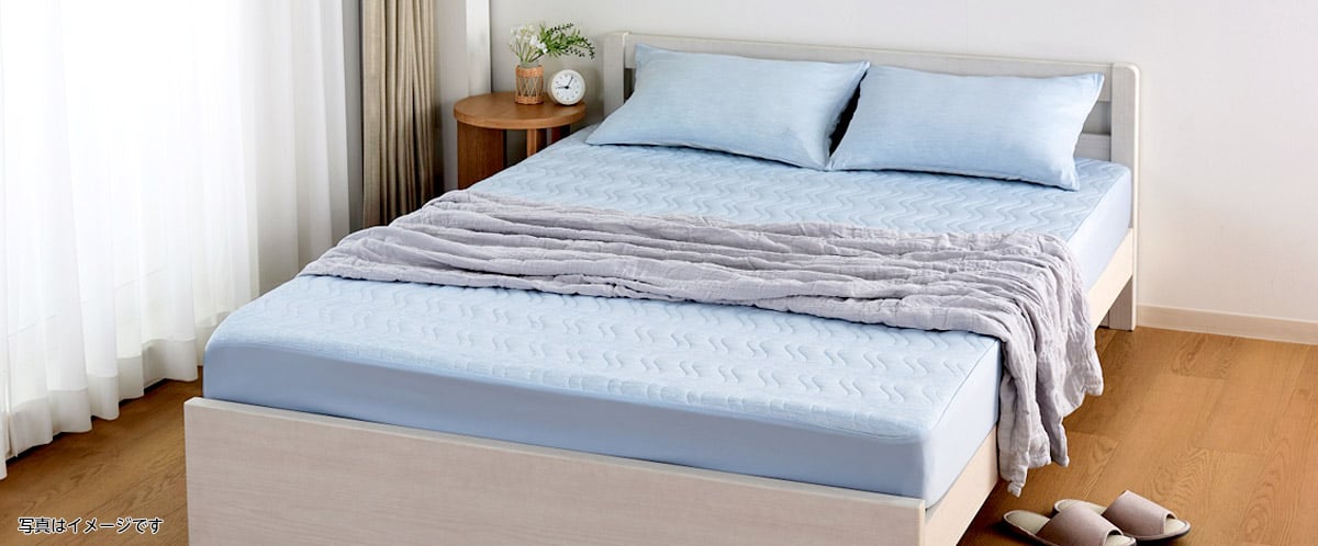 イオン・X３９　２個セット メタモール(四個用スイッチボックス) ネグロス電工 モール用