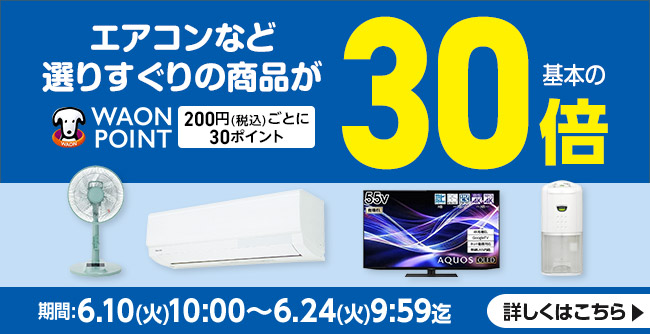 WAONポイント30倍