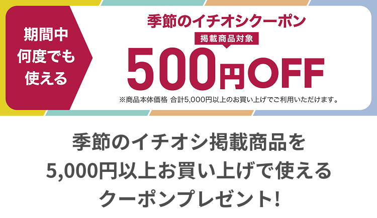 あつです　イオン5 ✖️4本 5本指スニーカー丈サポートソックス足底滑り止め付き メンズ