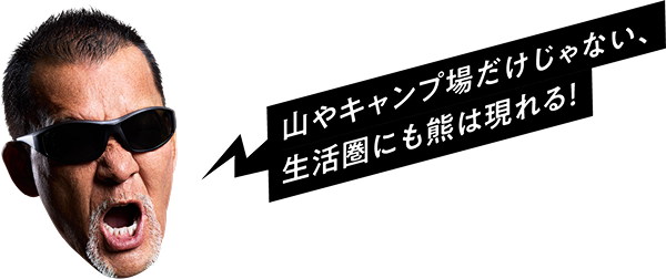 山やキャンプ場だけじゃない、生活圏にも熊は現れる！