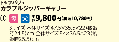 トップバリュ　カラフルジッパーキャリーＳ