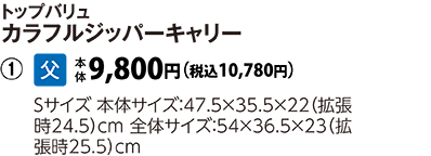 トップバリュ　カラフルジッパーキャリーＳ