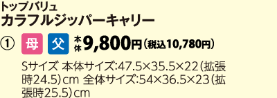 トップバリュ　カラフルジッパーキャリーＳ