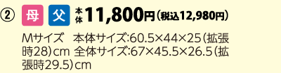 トップバリュ　カラフルジッパーキャリーＭ