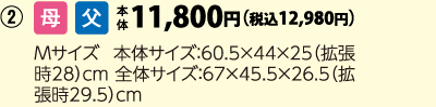 トップバリュ　カラフルジッパーキャリーＭ