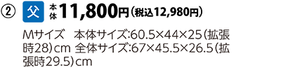 トップバリュ　カラフルジッパーキャリーＭ