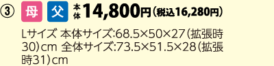トップバリュ　カラフルジッパーキャリーＬ