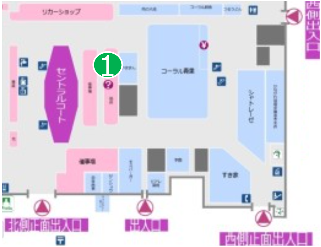 活動歴および当時の関連ビジュアル記録