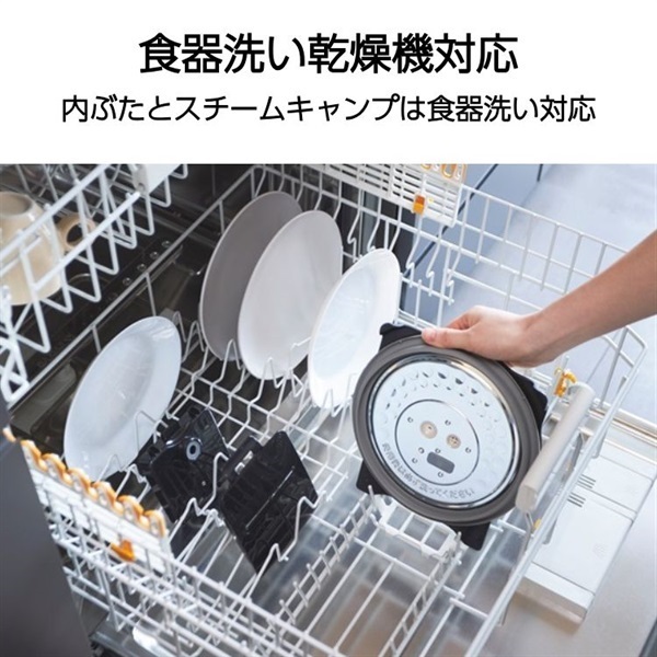 タイガー魔法瓶 可変圧力IH炊飯ジャー5.5合 JPI-S100KT | イオン