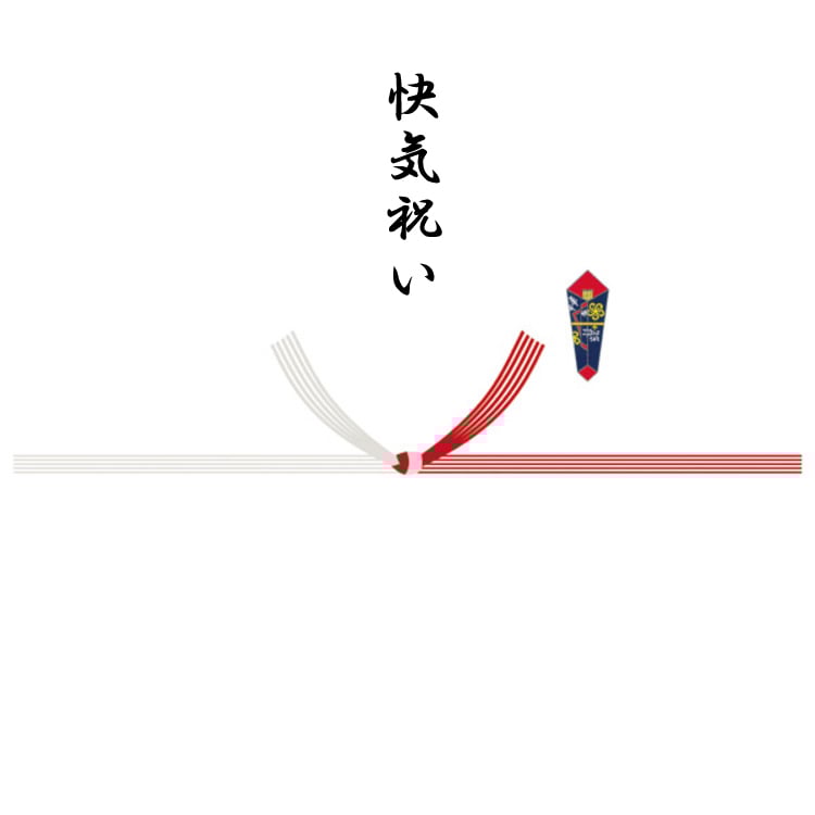 祝い結び切り5本快気祝い