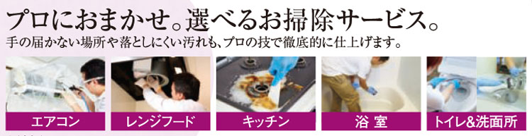 らくらくお掃除セレクトパック らくらくお掃除セレクトパック | お掃除パック | 《スゴカジ